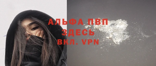сатива Балахна