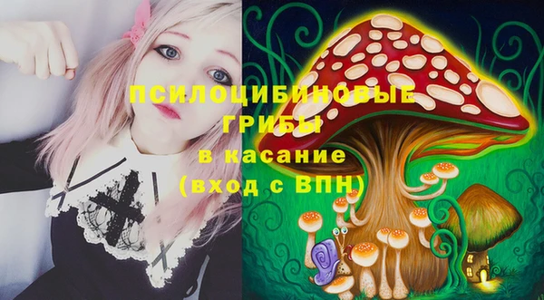 сатива Балахна