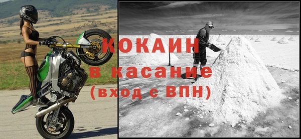 сатива Балахна
