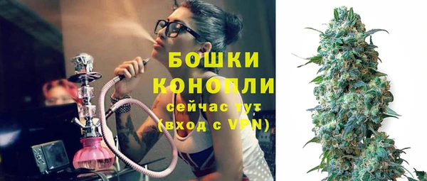 сатива Балахна