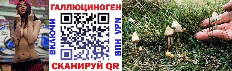 это как зайти даркнет сайт kraken как зайти Михайлов Галлюциногенные грибы Psilocybe